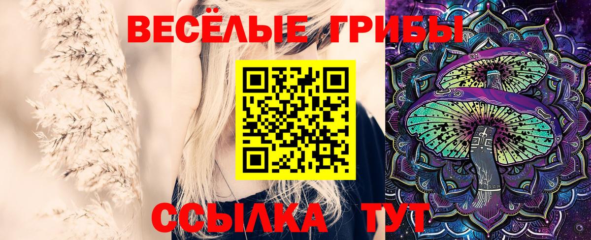 где найти   Псилоцибиновые грибы мухоморы  Псилоцибиновые грибы Magic Shrooms  Вход с VPN  Альметьевск 